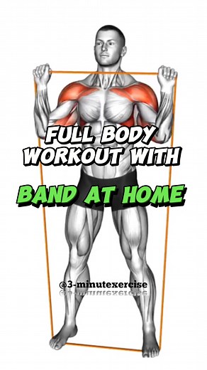 Full body workout with band #fullbodyworkout #exercise #foryou #foryoupage #viral #trending