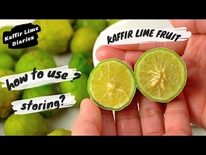 KAFFIR LIME FRUIT