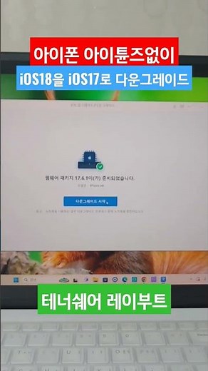 아이폰 아이튠즈 없이 iOS18을 iOS17로 다운그레이드 방법 레이부트(ReiBoot) 프로그램 써보니