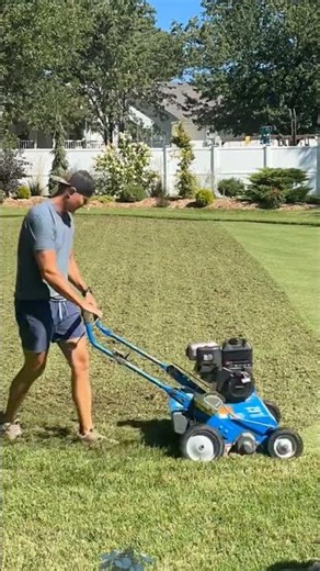 dethatching with the bluebird. always satisfying #bluebird #dethatch #turf #lawncare