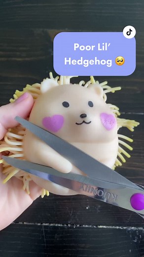 Mrs. Bench on TikTok