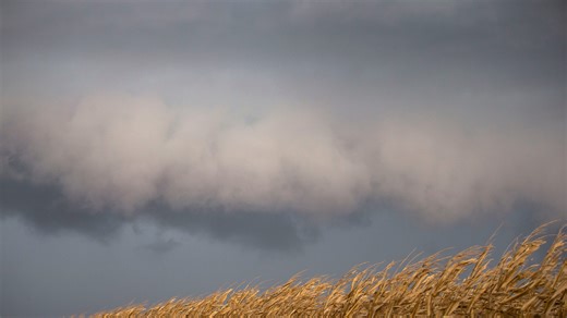 Illinois urges residents to prepare for spring severe weather