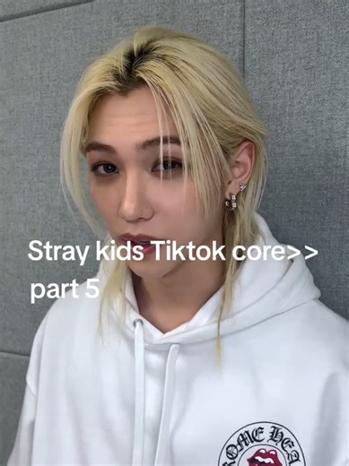 Stray Kids TikTok Core Compilation Part 5
