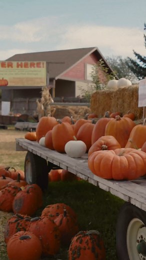Fall in Montana is for slowing down — for pumpkin patch strolls, apple cider doughnuts and celebrating the season. | Visit Montana