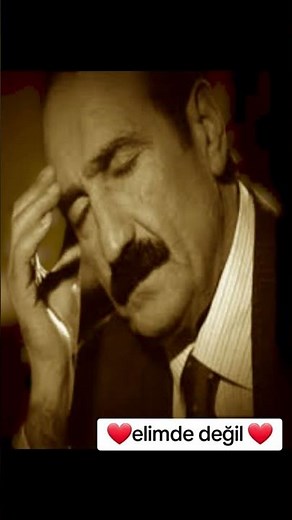 Seyfi Doğanay elimde değil