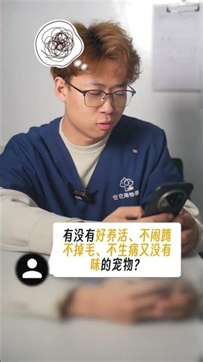 Top 10 Essential Pet Care Tips for Every Pet Parent