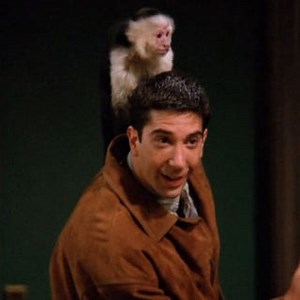 The 8 wildest Friends fan theories