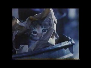 1991年CM 公共広告機構