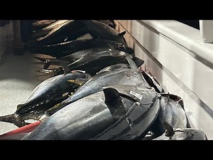 Knife jigging for Blue Fin Tuna | Pacific Queen Sportfishing