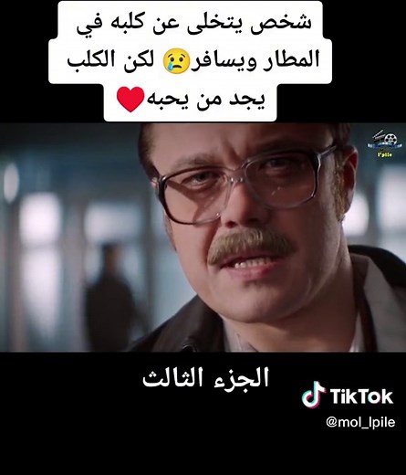 Mol l'pile sur TikTok