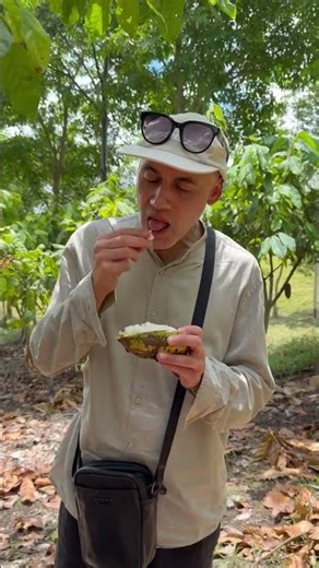 Ed cacao pod and bean tasting