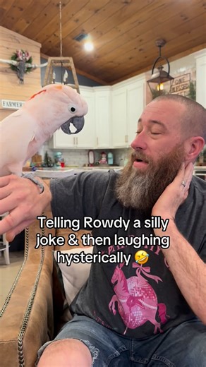 Our Life Adventures 9 on Instagram: "Rowdy wasn’t as amused 🤣"