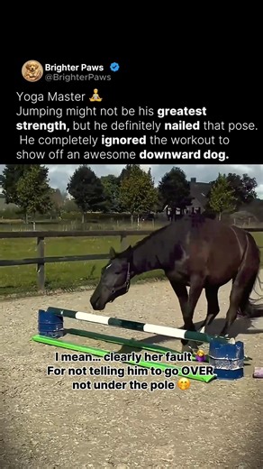 When horse jumping isn't your thing 🐴