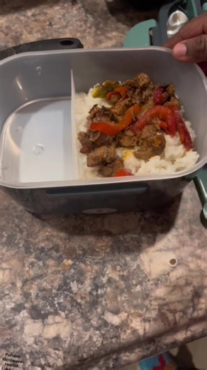 Portable Heated Lunch Box for Hot Meals Anywhere