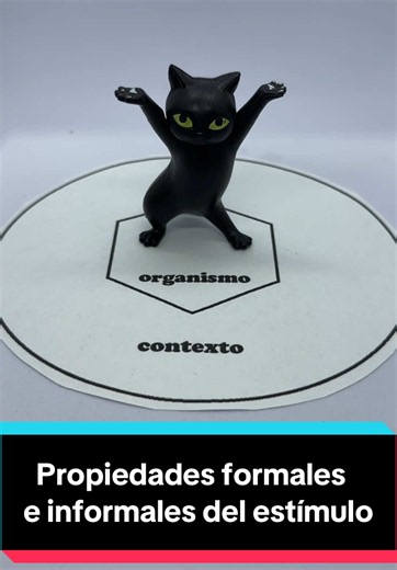Qué es la psicología: definición y función del psicólogo