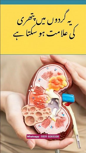 Abdominal Pain, Bloating, Cramps: What Your Gut Is Trying to Tell You