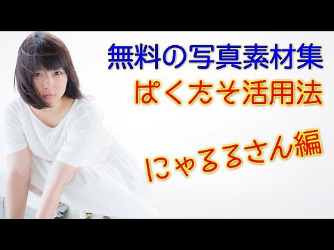 無料の写真素材集 ぱくたそ活用 にゃるる(新谷るる)さん編