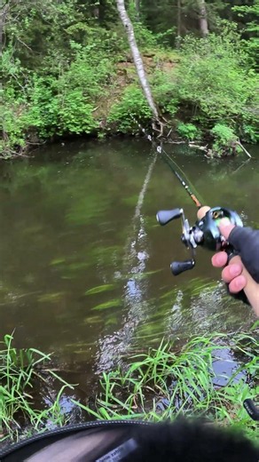 Ten moment w BFS jest najlepszy! #baitfinesse