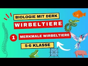 Wirbeltiere | 1 | Merkmale Wirbeltiere | 5 - 6 Klasse