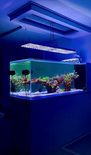 orphek atlantik icon the best 2023 saltwater aquarium led lighting