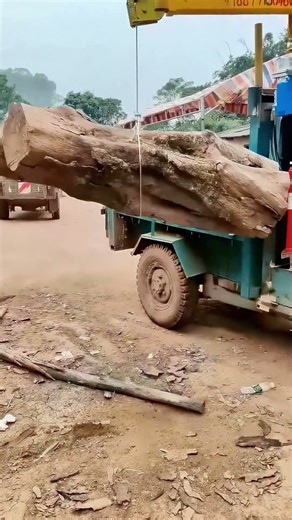 Giant log lifted onto truck by crane!