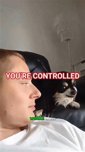 You’ve Been Trained by Your Pet This Whole Time