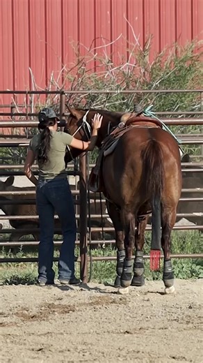 tackroom.media on TikTok