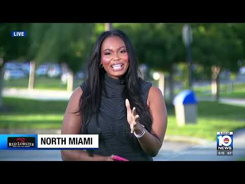 Caroline Coles | WPLG Local 10 News Reel
