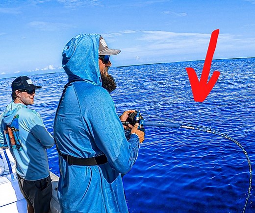 LIVE bait catches BIG fish! | Bearded Brad