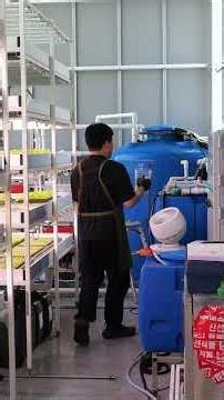 The Future of Farming? Korea’s Incredible Indoor Smart Farm