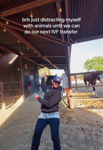 Preparing for IVF Transfer with Animal Therapy