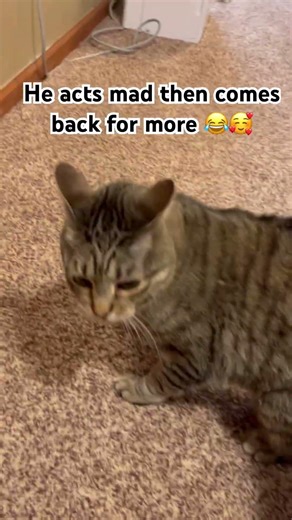 😂😂🥰🥰
