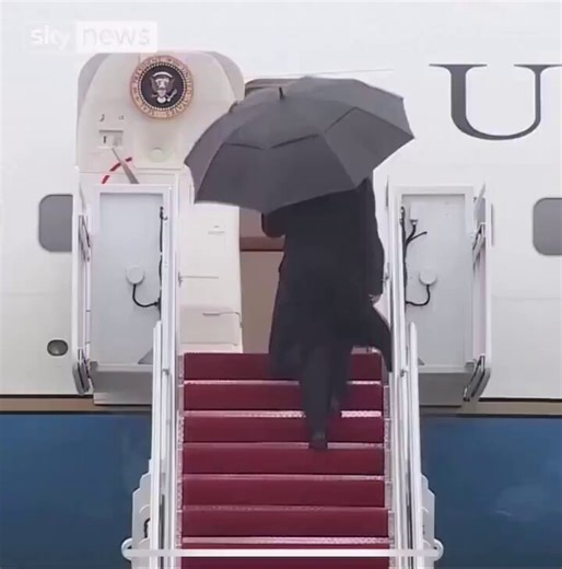 If you ever feel dumb, remember that tens of millions of American voters see this man and genuinely think: "This is brillant! That man is a genius playing 5D chess! I need him so much!”