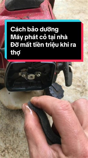 Cách bảo dưỡng máy phát cỏ tại nhà chỉ trong vài phút