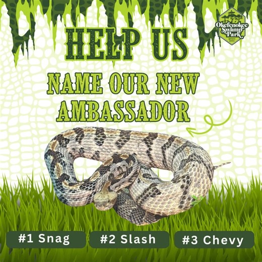 4.7K views · 30 reactions | We’re thrilled to introduce our newest...