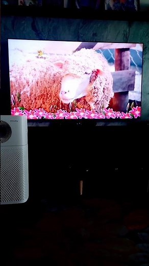 Go Eco Season 2 Episode 6 Squirrels 2014 BabyTV 4x Speed