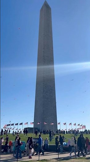 Cherry Blossoms at the Washington Monument 🌸 | Kites Flying by the African American History Museum