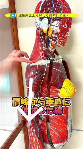 [Intramuscular injection at the deltoid muscle puncture site] Intramuscular injections at the del...