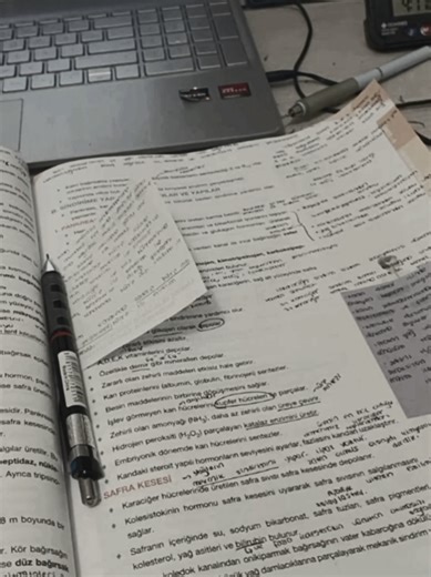 Effective Study Techniques for Better Motivation