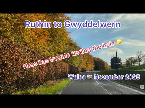 Autumn colours are on full display on our drive from #Ruthin to #Gwyddelwern North #Wales