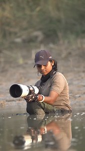 2.1K views · 12K reactions | The osprey, historically known as sea...