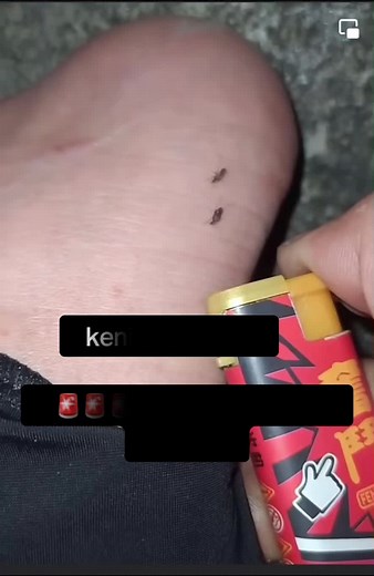 bmw M8 (@bmw.m88)’s videos with original sound - bmw M8