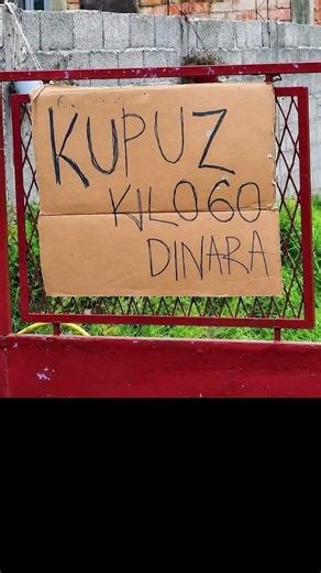 Fišnja 😆