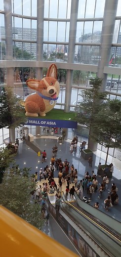 How to stay safe on an escalator: •Check the direction of the escalator before you board. •Always pick up your feet and step carefully on and off the escalator. •Stand in the center part of the step. •Always face forward and hold the handrail. •Do not lean against or reach over the sides of the escalator. #fyp #escalator #keepsafe #smmallofasia #fyppppppppppppppppppppppp