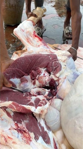 Cow's meat processing skills