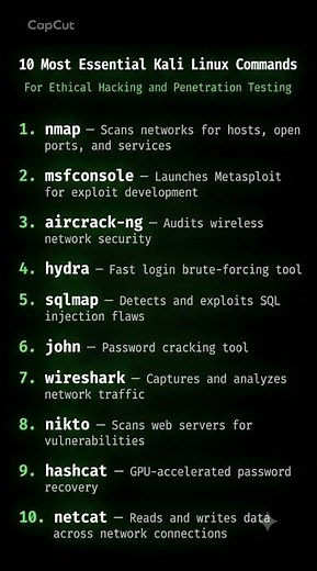 10 Most Essential Kali Linux Commands for Ethical Hacking 🐧🔒