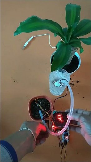 Sistema de Riego Automatizado con Micro:bit . proyecto para básica Primaria #aulasteam #microbit