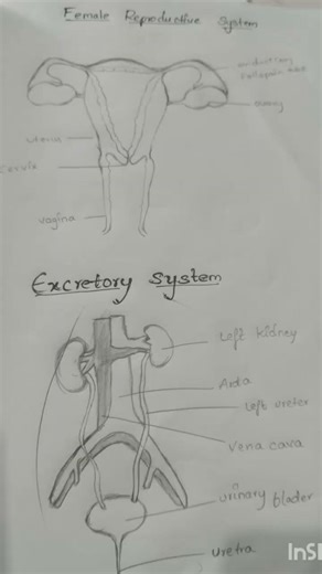 10 th class Ssc public examinations biology most important diagrams💯🔥||biology #biology #education
