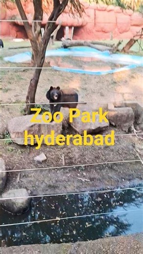 Zoo Park#shorts#shorts#