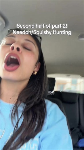 Exciting Squishy Haul and Needoh Hunt